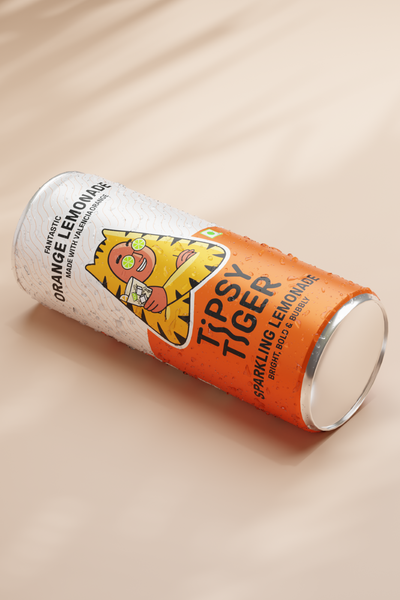 Fantastic Orange Lemonade | Pack of 6
