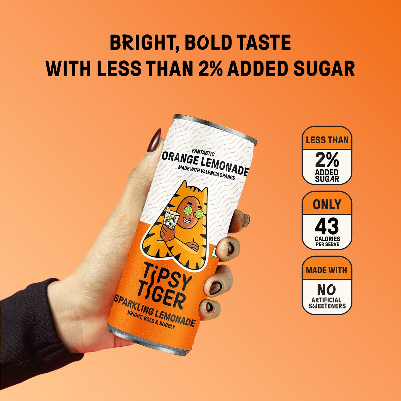 Fantastic OranGe LemoNade | Pack of 6